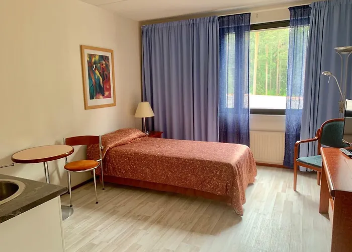 Hotel Mesku *