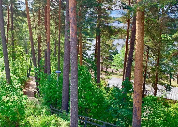 Hotel Mesku *